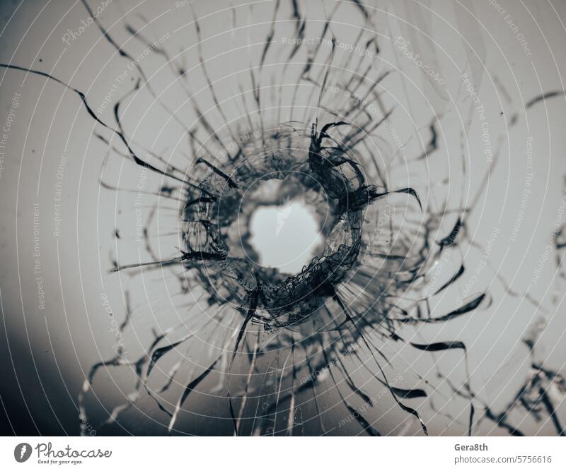 bullet hole in cracked window glass abstract accident background broken broken glass broken window bullet hit closeup color crash crime damage danger deadly