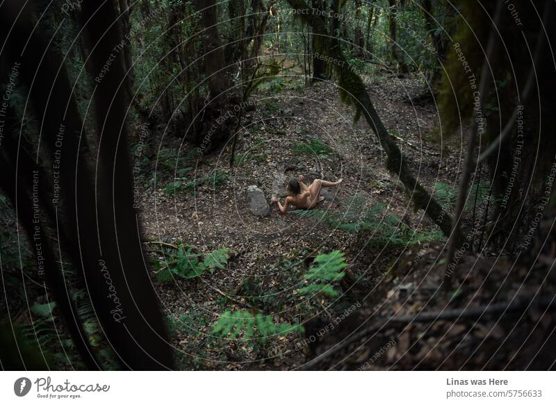 These jungles in La Gomera are a perfect destination for a gorgeous naked diva like this pretty woman who is feeling free out there. A pretty woman in a wild nature is feeling wild herself. Ferns, roots, and trees surround her. And a stalker beneath it.