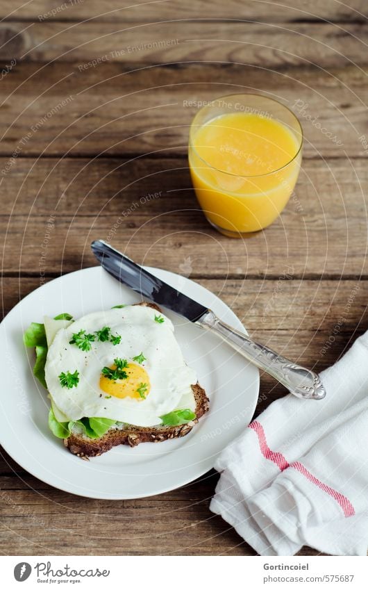 Breakfast, second part Food Lettuce Salad Nutrition Dinner Vegetarian diet Beverage Cold drink Juice Plate Glass Knives Fresh Healthy Delicious Orange juice