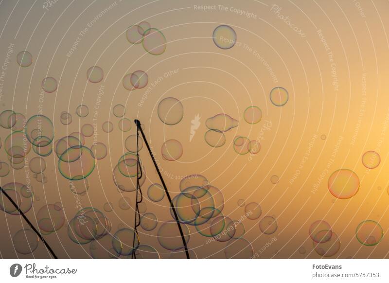 Lots of soap bubbles in the sky at sunset with soap bubble stick balls abstract rainbow colors liquid background orange air bubble Soap bubbles Colorful device