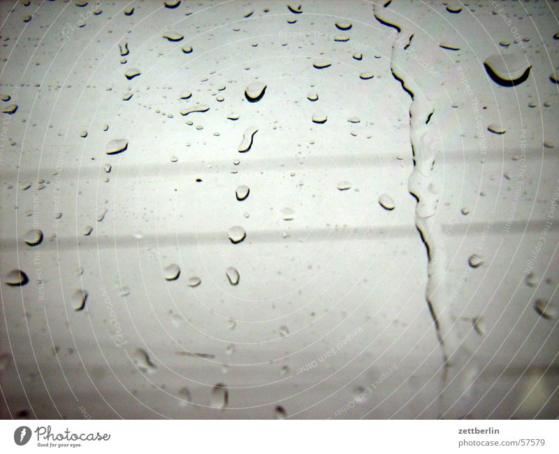 Still Rain Pane Dreary Gray November Bad weather Drops of water Window pane Glass Weather