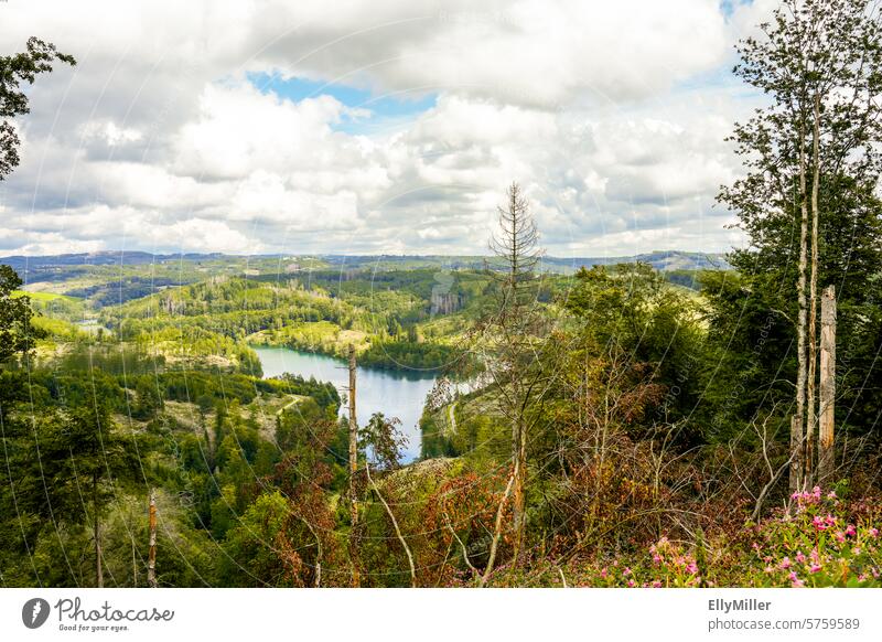 View of the Genkeltalsperre dam and the surrounding nature. Genkel dam River dam Lake Landscape Nature panorama Forest Reservoir Clouds Sky Panorama (View)