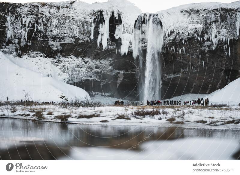 A group of tourists gather in awe at the base of a powerful Icelandic waterfall, surrounded by a dramatic landscape of ice and snow frozen nature travel cold