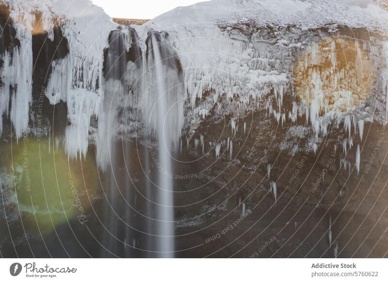 Close-up of a majestic Icelandic waterfall, its cascades framed by striking icicles and snow, embodying the cold beauty of winter close-up nature scenic ice