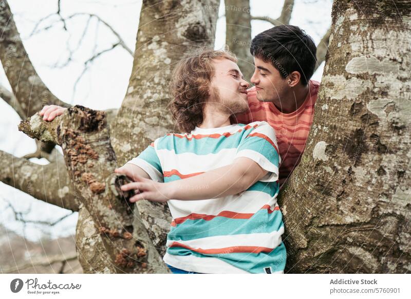 A heartfelt scene unfolds as one man receives a gentle kiss from his partner, surrounded by the tranquil embrace of nature couple affectionate love tree