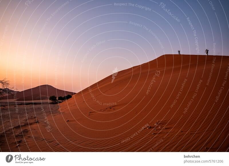 colour palette Light Sky Shadow Sossusvlei Exterior shot Sesriem dune 45 Sand Desert Africa Namibia Far-off places Longing Wanderlust Colour photo travel