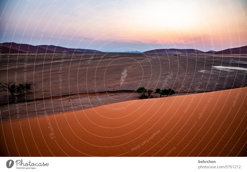 when everything is just quiet Sky Shadow Light Sossusvlei Exterior shot Sesriem dune 45 Sand Desert Africa Namibia Far-off places Wanderlust Longing travel