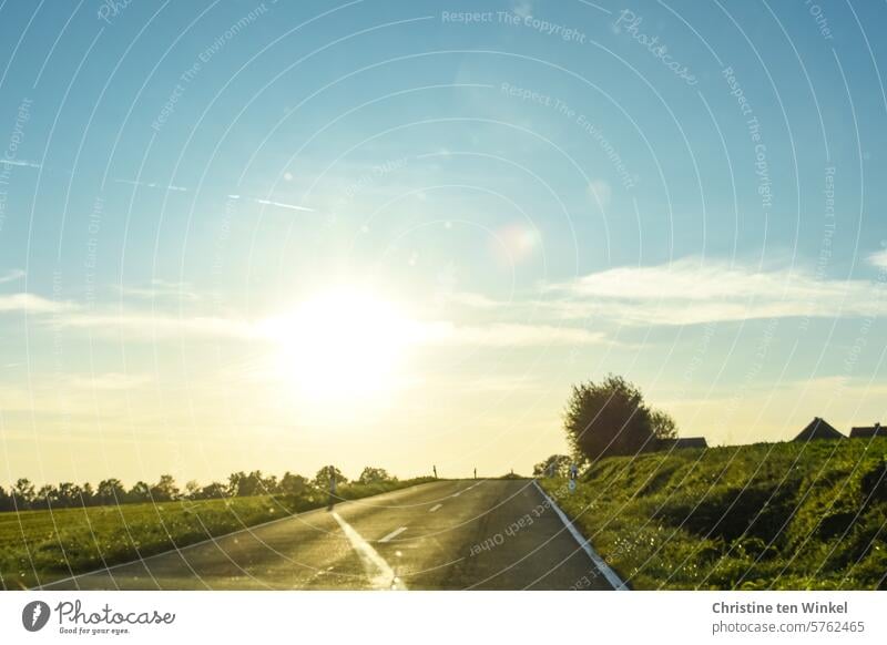 Towards the sun / empty country road against the light Country road Sun Back-light Dazzle Blinding trees Meadow Sky Clouds Beautiful weather low sun shine