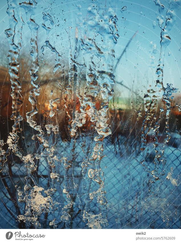 In the freezer Greenhouse Pane view outside hazy Glass Window Translucent Protection winter January snowy blurriness Transparent Ice crystal ice structures