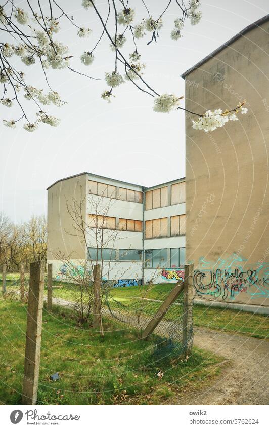 end of school GDR school Old Closed School building aged forsake sb./sth. Ruin abandoned Property Crisis Exterior shot Deserted Facade Wall (building) Window