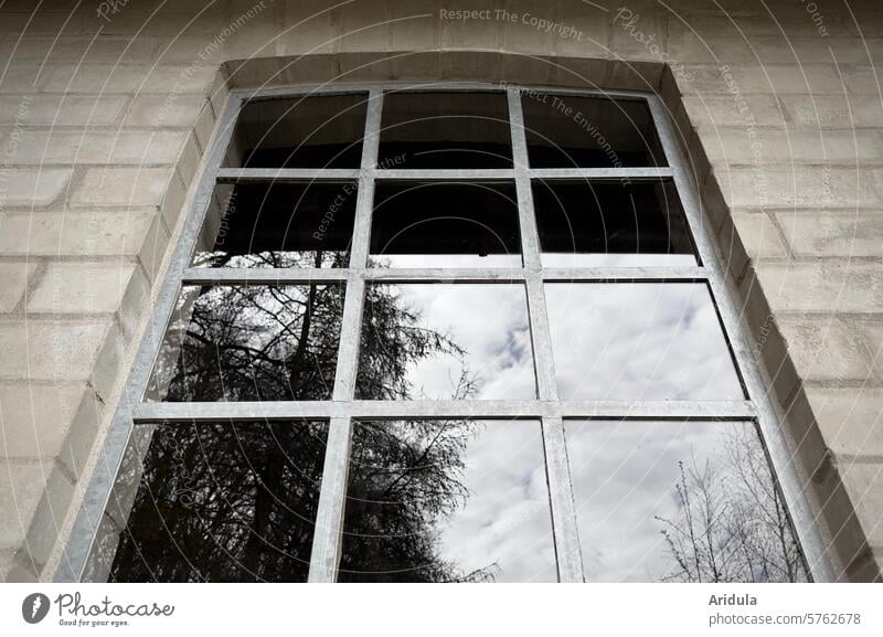 Transom window, stone wall, tree reflection, cloudy sky Wall (building) Window Lattice window window glass trees Sky Building Facade Exterior shot Reflection