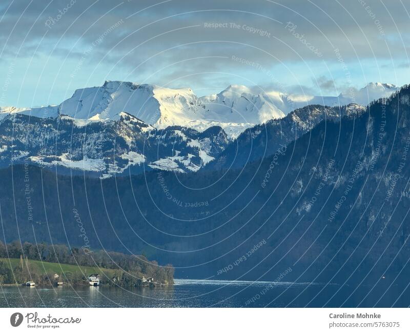 View from Meggen across Lake Lucerne to the Titlis region mountains Mountain Landscape Nature Exterior shot Peak Alps Rock Clouds Environment Deserted