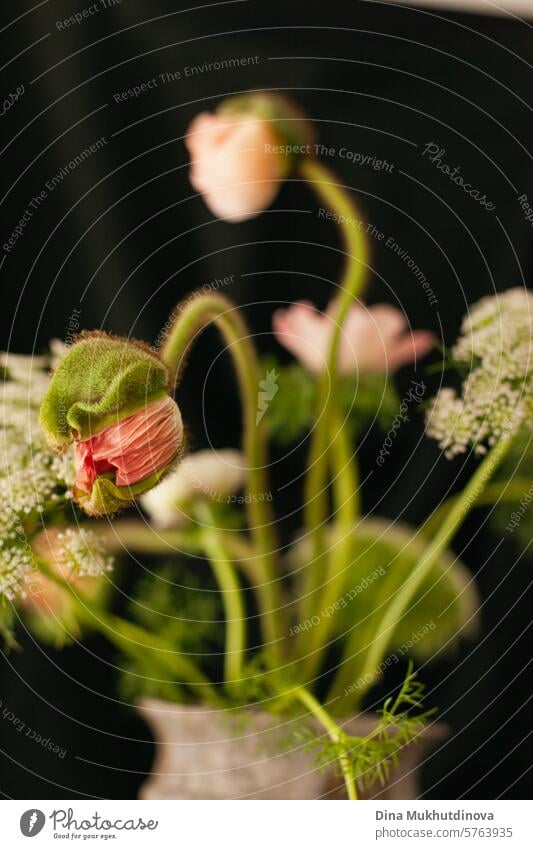 sophisticated intricate flowers bouquet in vase. Floral arrangement on black background. floral bloom blossom bunch nature decoration natural beautiful spring