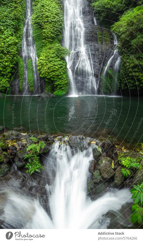 The dynamic flow of a jungle waterfall surrounded by verdant foliage, creating a serene sanctuary hidden away from the world tranquil nature cascade green leaf