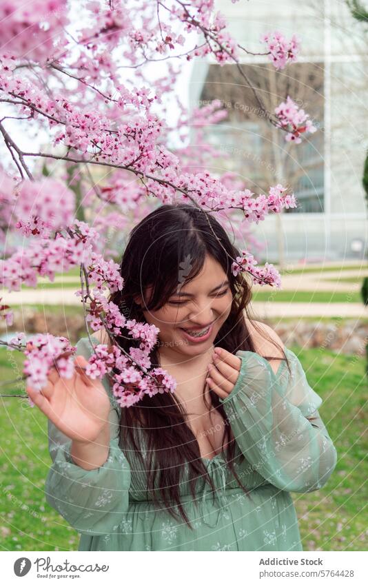 Young woman enjoying cherry blossoms in springtime garden blooming admiration touching nature flowers smiling happiness outdoor pink tree floral young adult