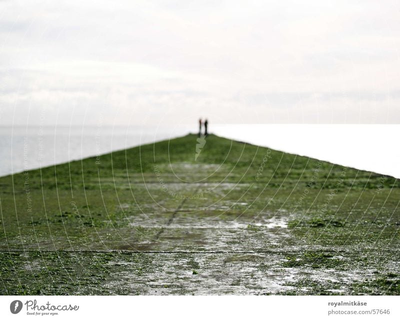 ocean love Ocean Together Europe Man Woman Friendship Affection Cold Wet Hard Concrete Algae Horizon Far-off places Exterior shot Nature Love Germany Happy