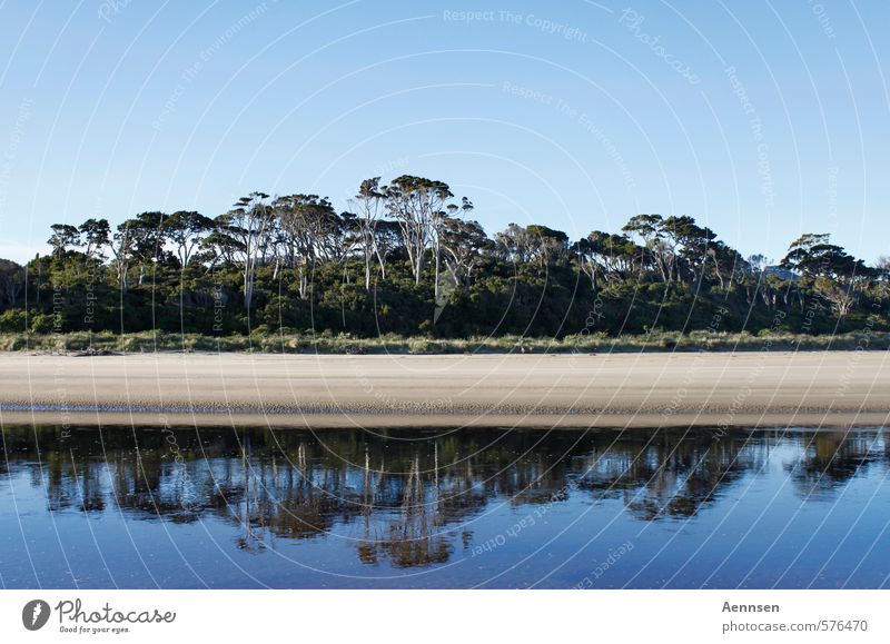 oasis Calm Swimming & Bathing Vacation & Travel Far-off places Summer Nature Landscape Sand Water Cloudless sky Beautiful weather Tree Bushes River bank Beach