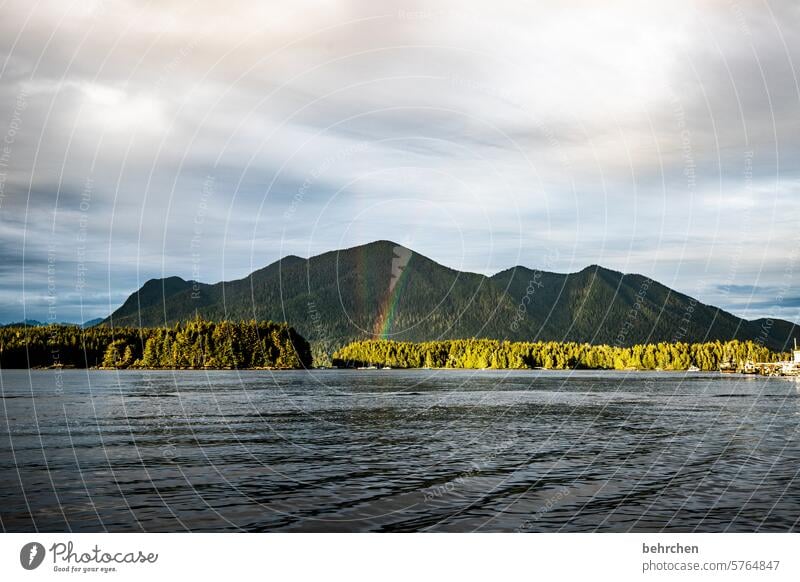 happiness lies in the sea Vacation & Travel Exterior shot Vancouver Island Wanderlust Fantastic Colour photo North America Canada Freedom Adventure Water