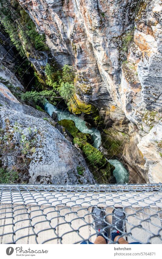 teeth smash | and stare into the abyss height Tall Unafraid of heights Giddy maligne canyon Steep depth Deep Riverbed Canyon Alberta Jasper national park