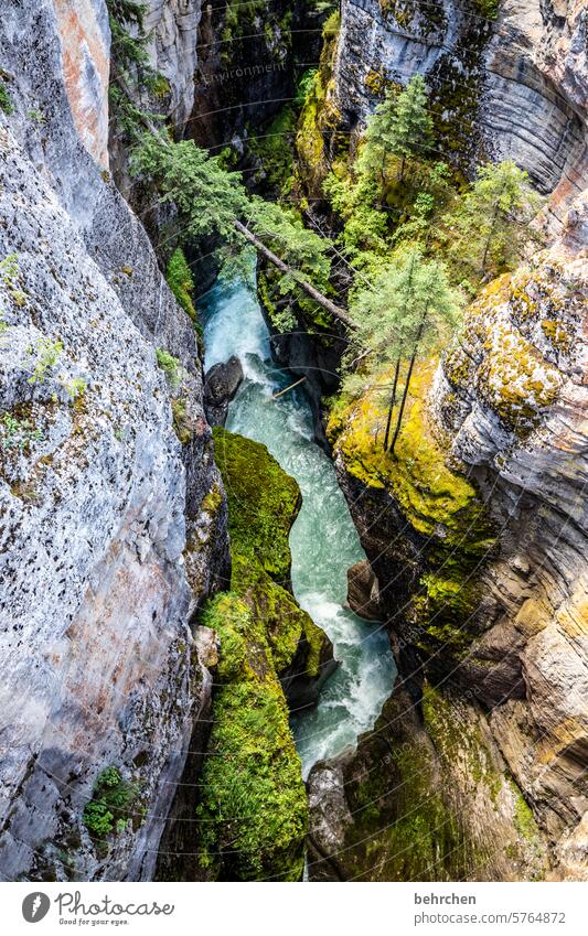 source of danger | plunge into the depths height Tall Unafraid of heights Giddy maligne canyon Steep abyss Deep Riverbed Canyon Alberta Adventure