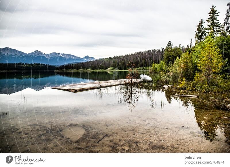 To rest in oneself especially Wanderlust wide Far-off places Vacation & Travel Nature Exterior shot Canada Mountain Forest Landscape Rocky Mountains Deserted