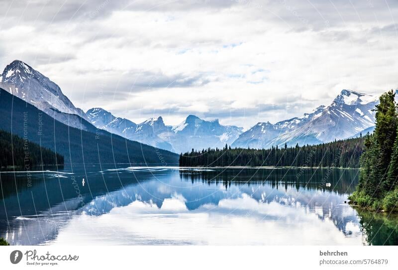 from below and above Impressive Reflection wide mountain lake Far-off places Wanderlust especially Vacation & Travel Fantastic Nature Rocky Mountains