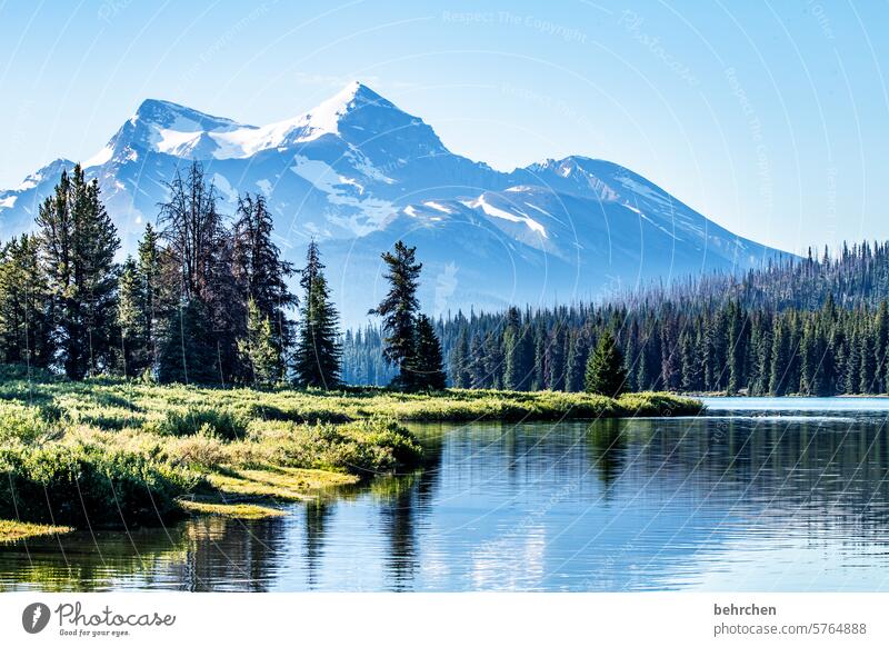 Canada Lake Maligne Rocky Mountains Wanderlust Vacation & Travel Forest Far-off places Adventure Nature Landscape North America Sky Alberta Water Lakeside