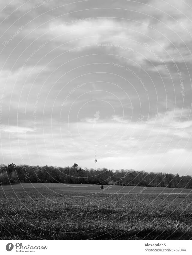 Meadow with forest and Stuttgart television tower in the background Forest woodland Panorama (View) Television tower Landmark state capital Tourist Attraction