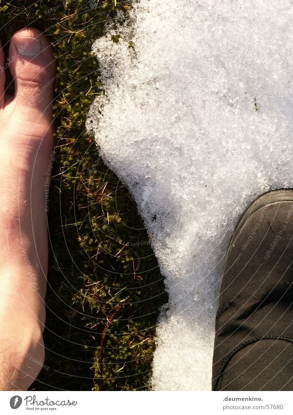 Between the times Meadow Toes Footwear Light Winter Spring Summer Cold Physics Disagreement Snow Feet grass Sun Skin Legs Warmth Contrast Barefoot