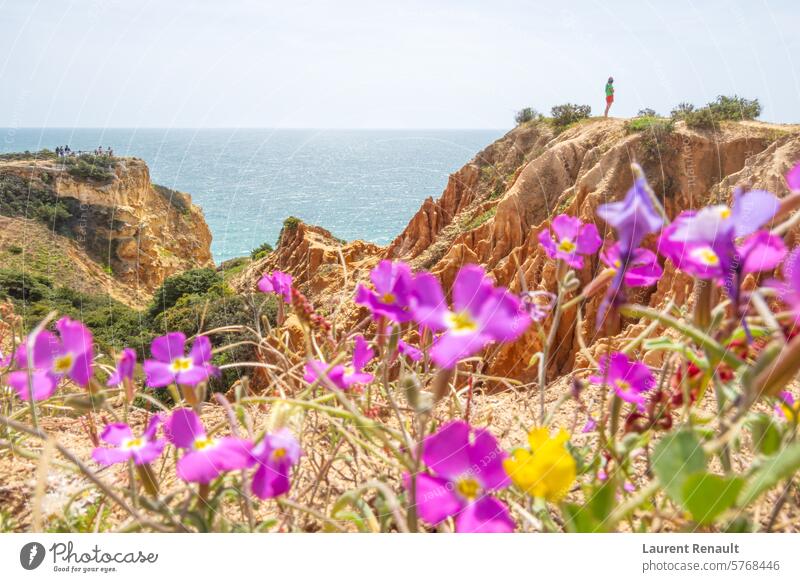 Cliffs and nature, Praia da Marinha, Algarve, Portugal Benagil Lagoa algarve atlantic beach cliff coast destination holiday journey landmark landscape ocean