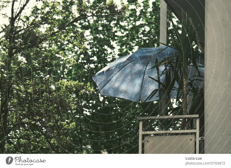 Spring in front of the balcony at home Gray Appealing Peaceful atmospheric idyllically Idyll foliage trees sunny sunshine Bright Modern dwell Living or residing