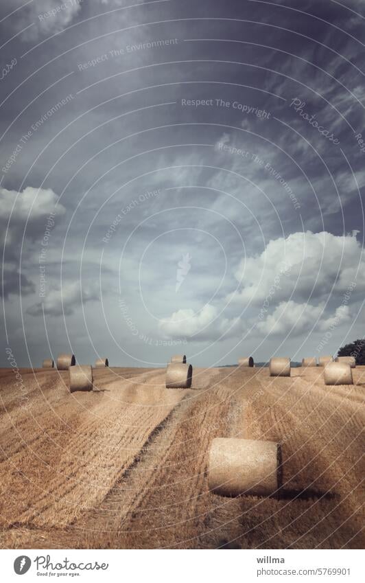 Why is there straw here? Bale of straw Stubble field Summer Field bale Agriculture Harvest Roll of straw Straw Hay bale Summery dark sky Dark clouds