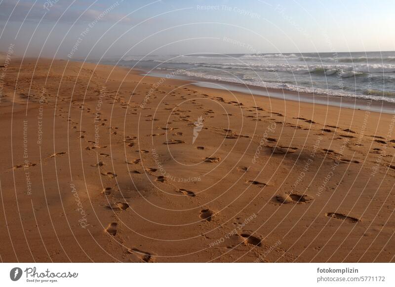 Sandy beach with footprints Beach Tracks Ocean Atlantic Ocean ways off Walk on the beach To go for a walk Footprint Footprints in the sand Deserted