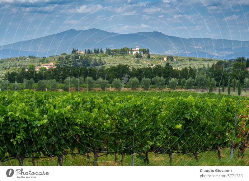 Rural landscape of Chianti, Tuscany, Italy Europe Firenze Florence Impruneta July Signa agriculture color country day farm field green hill house nature olive