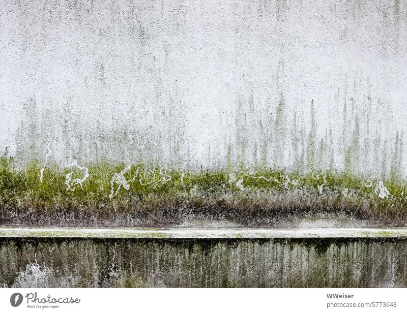 Time artfully arranges lichen, dirt and traces of worms on the wall of the old cemetery Wall (barrier) moisture Moss Worms Wet Damp Old Historic Cemetery