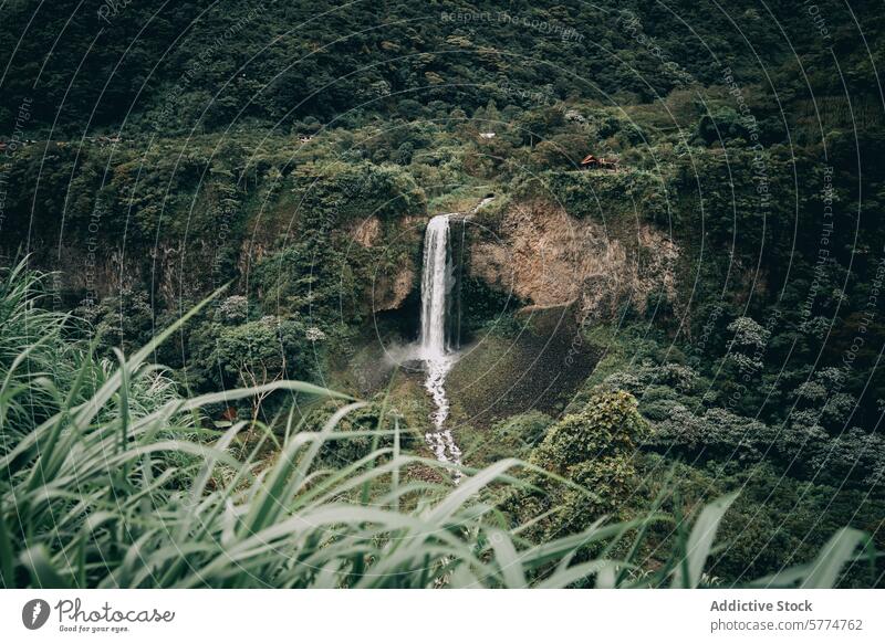 Scenic Waterfall Amidst Lush Greenery on the Equator waterfall greenery equator baños de agua santa landscape nature serene lush vegetation tropical ecuador