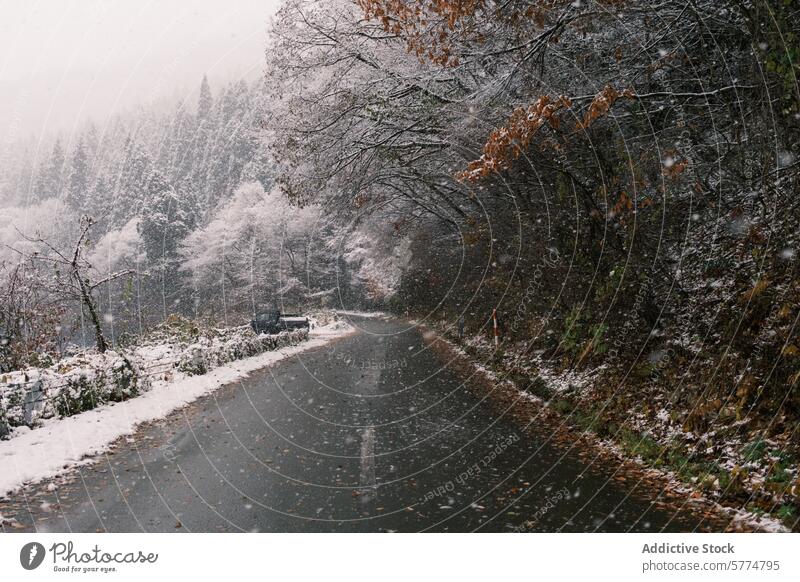 Snowy road trip through the Japanese countryside japan travel snow winter rural vehicle drive scenic frosty tree nature journey adventure outdoor weather cold