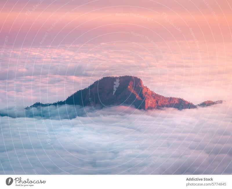 Serene sunrise over La Palma Island's cloud-covered peaks la palma spain mountain serene landscape nature soft hue sea of clouds picturesque tranquil