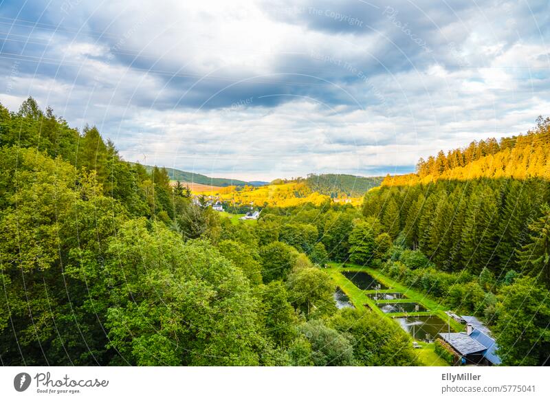 View of nature at the Oestertal dam River dam Nature Landscape Reservoir Forest Sky Clouds Idyll Exterior shot cloudy Panorama (View) Relaxation Horizon