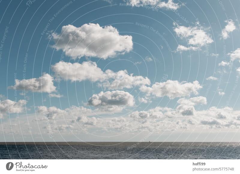 Clouds over the North Sea in the Wadden Sea Mud flats Ocean Sky coast Island Landscape Horizon Tide Nature Water Vacation & Travel North Sea coast