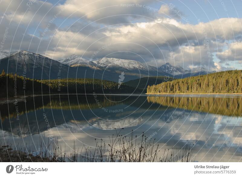 Canada | Evening atmosphere at a mountain lake mountains Mountain snow-covered snow-covered mountain Vacation & Travel Tourism Hiking Relaxation Peak Nature