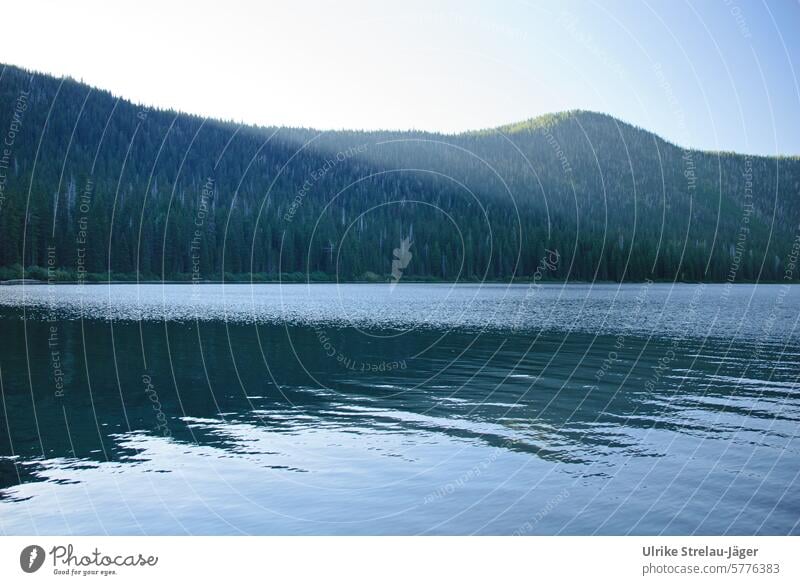 Canada | Forest and water Water Lake Lakeside Reflection Surface of water Water reflection Nature Calm Idyll Landscape Peaceful tranquillity trees Relaxation