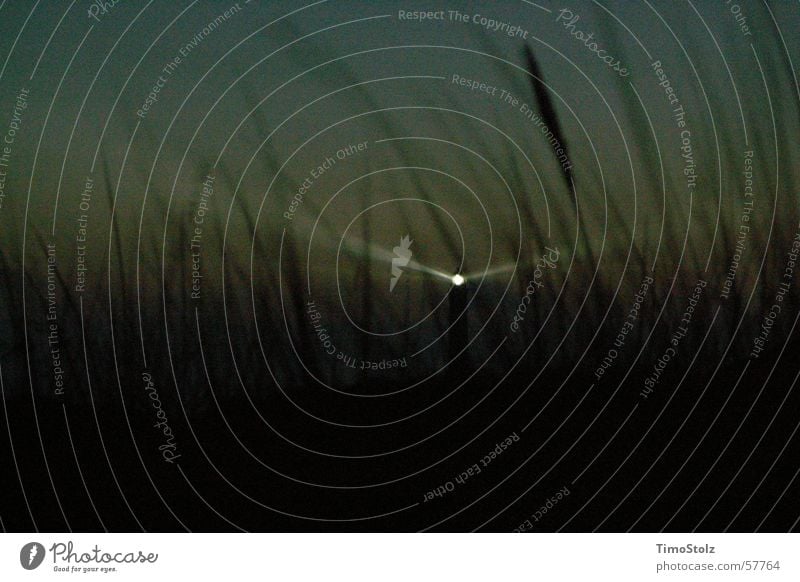 lighthouse Lighthouse Twilight Night Common Reed Ocean Radiation Dark Monochrome Light (Natural Phenomenon)
