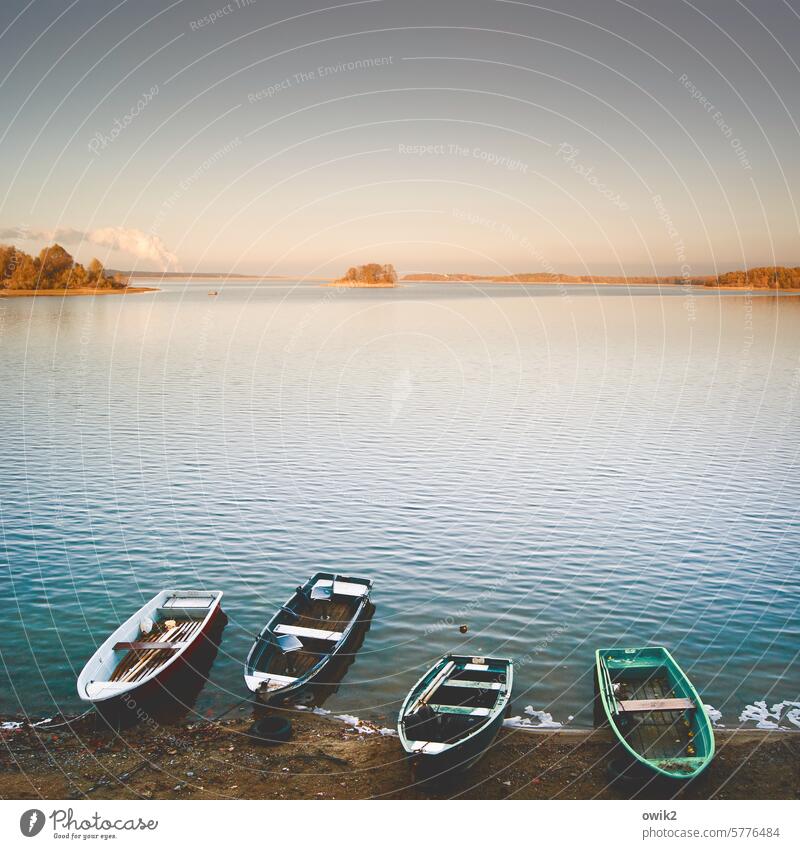 tranquilizers boats Rowboats anchored Harbour Moody Wait Contentment Closing time Peaceful Idyll Calm Exterior shot Colour photo Watercraft Berth Jetty