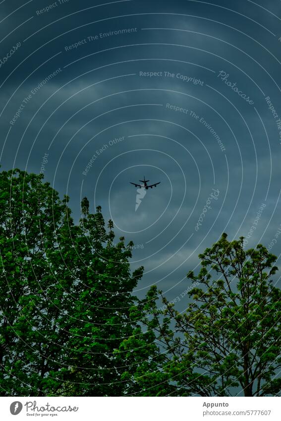 Between the green treetops and a sky overcast with dark, blue-grey clouds, an airliner hovers towards the horizon Clouds dark blue Sky Airplane Airliner aviator