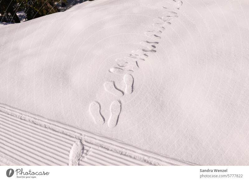 Tracks in the snow Snow Winter Deep snow Ski resort vacation White Cross-country ski trail cross-country skiing Hiking Austria Carinthia