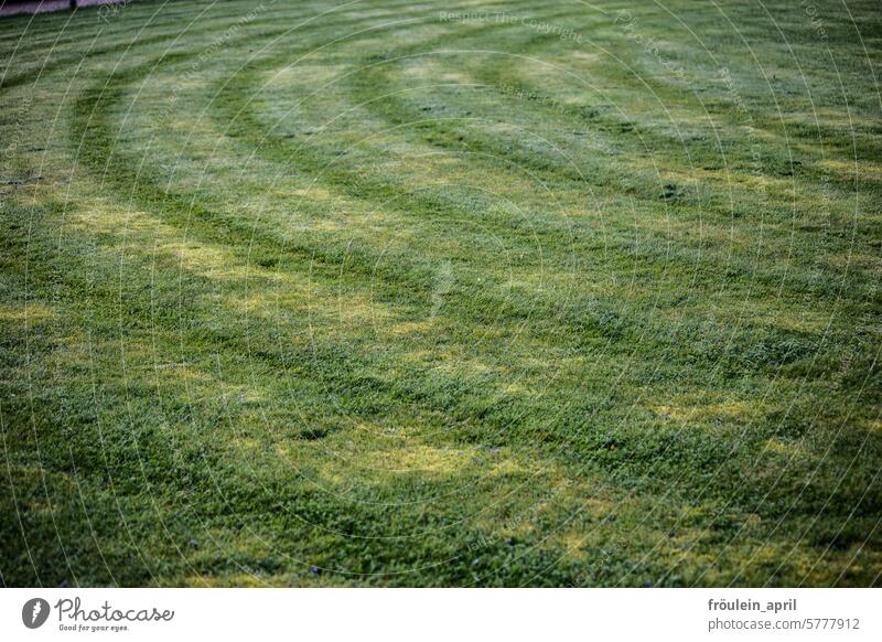 Grass harvesting | circular track of the lawn mower Meadow Lawn Nature Garden Park Spring Summer Green Grass meadow Garden care mares Forms and structures