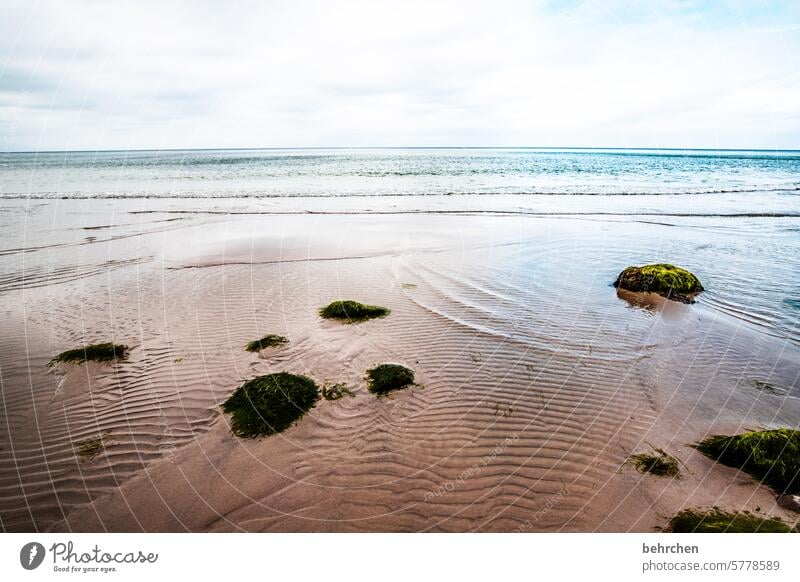 the silence within me silent tranquillity Sellin Rügen wide Wanderlust Sky Clouds Waves Water Idyll Longing Baltic Sea Ocean Beach coast