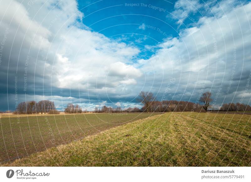 Dark rainy clouds over field and meadow, February day cloudy overcast climate sky tree grass growth agriculture photography horizontal no people nature