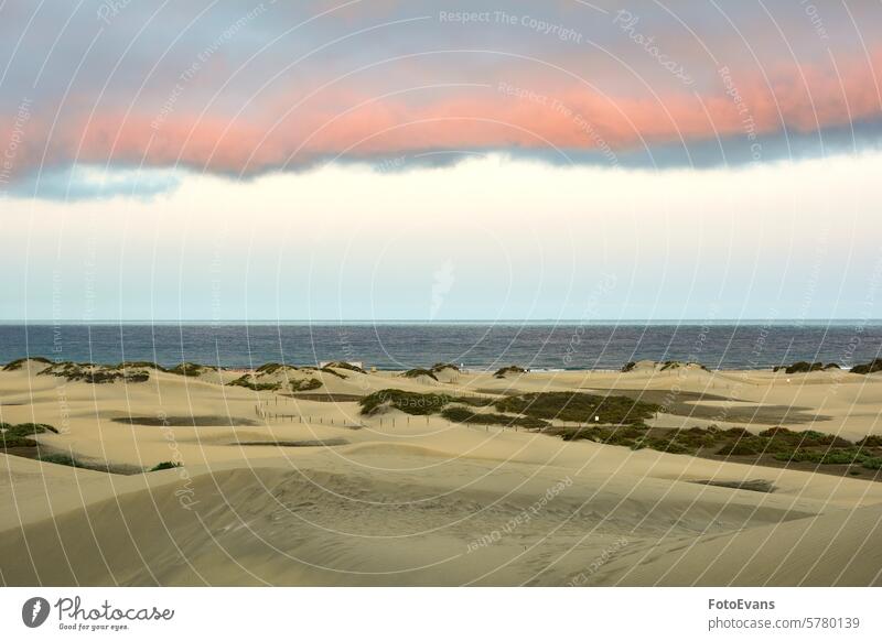 In the dunes of Maspalomas on Gran Canaria in Spain. View of the sea in the evening light with clouds and blue sky horizon dry sand endless nature background